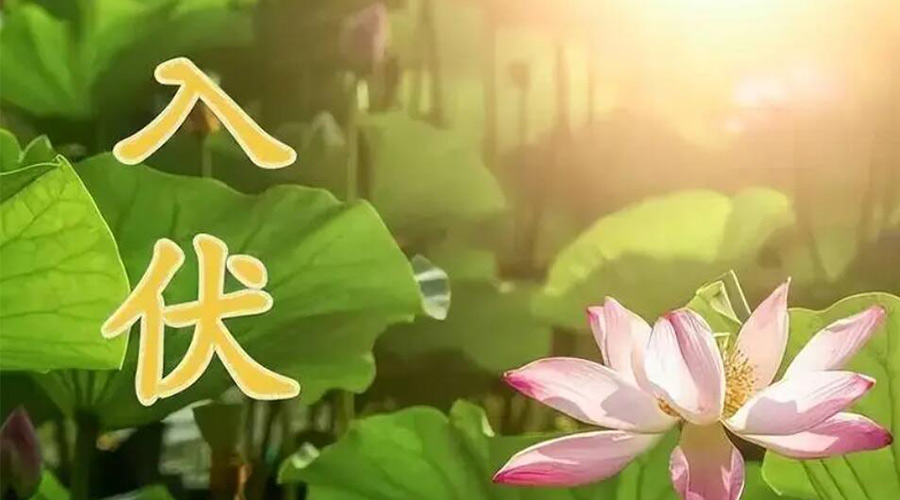 入伏天來(lái)襲！金環(huán)電器提醒大家要注意的事項(xiàng)