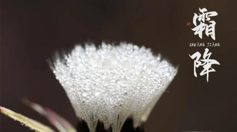 霜降時(shí)節(jié)！金環(huán)電器提醒大家要注意的事項(xiàng)