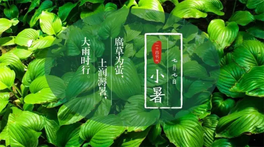 小暑時(shí)節(jié)來(lái)到！金環(huán)電器提醒大家要注意的事項(xiàng)
