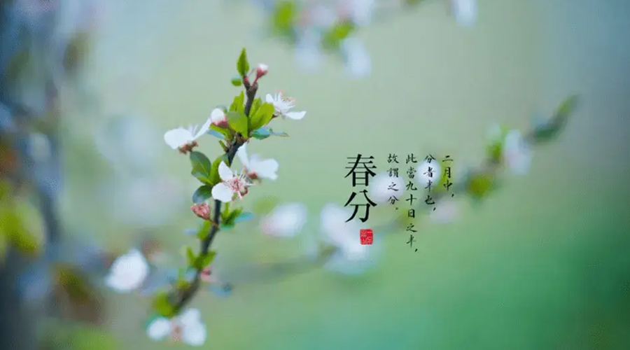 春分雨水多易生菌！金環(huán)電器提醒你衣物要注意處理