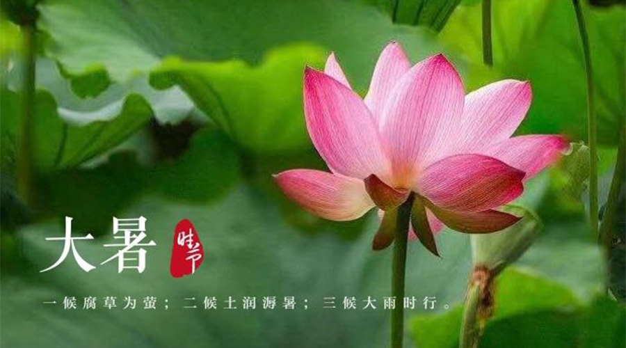 大暑時(shí)節(jié)！金環(huán)電器提醒大家要注意的事項(xiàng)