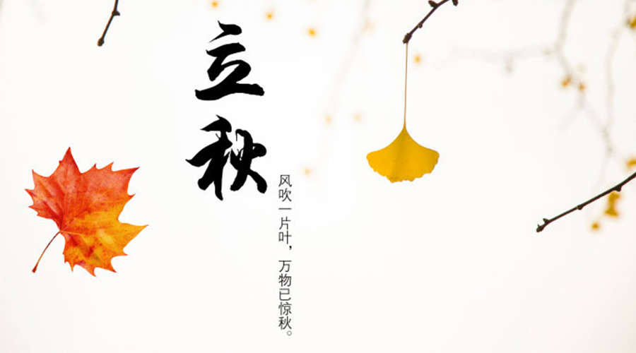 立秋時(shí)節(jié)！金環(huán)電器提醒大家要注意這些事項(xiàng)